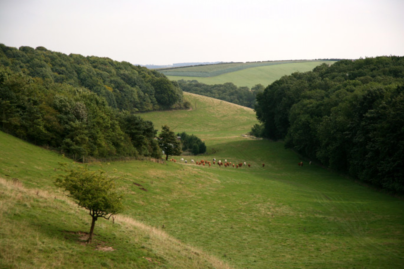 Visit the Lincolnshire Wolds - Earlscroft Farm